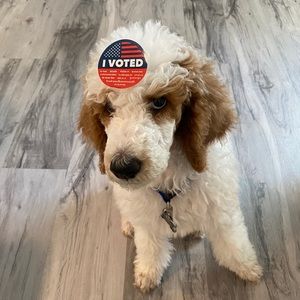 Meet your Posher, Crystal